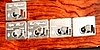 Kenworth 02-05 Guarded Switch Trim, ea